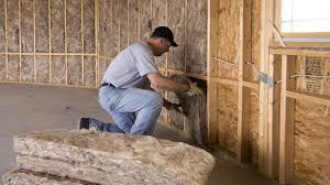 Best Blown-In Insulation  in Momence, IL